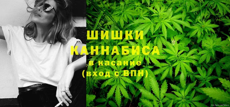 Бошки марихуана White Widow  дарк нет наркотические препараты  Кинешма 